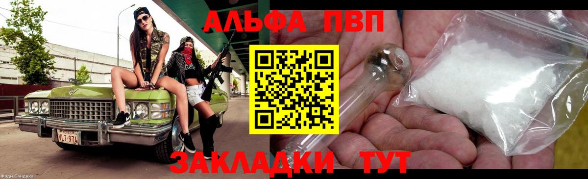A PVP СК Светлоград