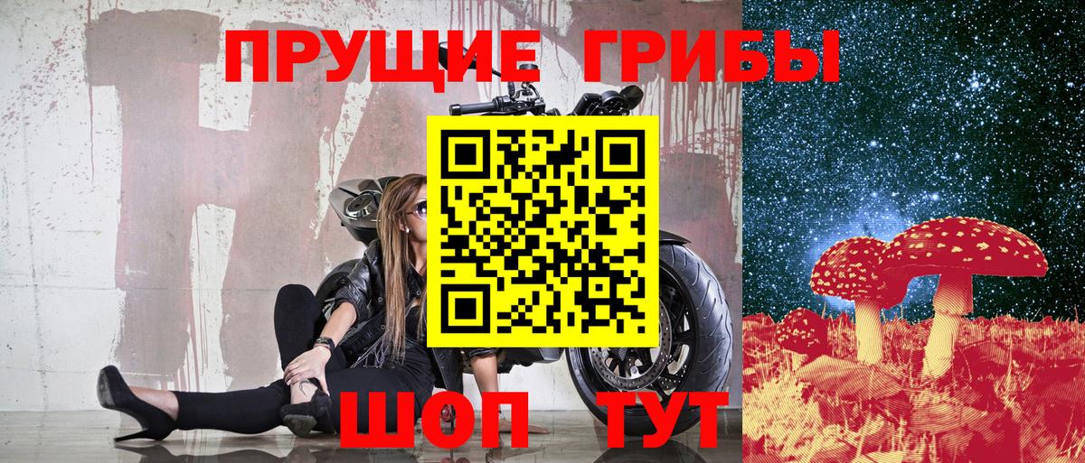 наркота  Галлюциногенные грибы ЛСД  Светлоград  Вход с VPN  Галлюциногенные грибы мицелий 